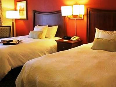 Hotel Hampton & Albany-airport 3*